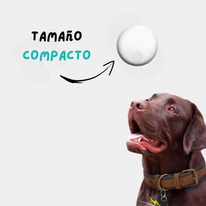 Rastreador GPS para cuidado animal, ofreciendo paz mental a los dueños. Sin cuotas, app fácil de usar.