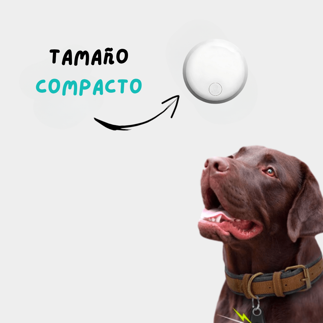 Rastreador GPS para perros sin suscripción, seguimiento de mascotas con alerta de zona segura, universal.