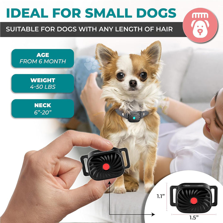 Perro pequeño usando collar antiladridos suave y cómodo. Ideal para entrenamiento y promover el silencio en casa.