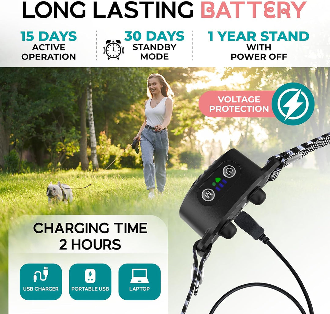 Collar de adiestramiento antiladridos suave, diseñado para la comodidad y tranquilidad de perros pequeños.