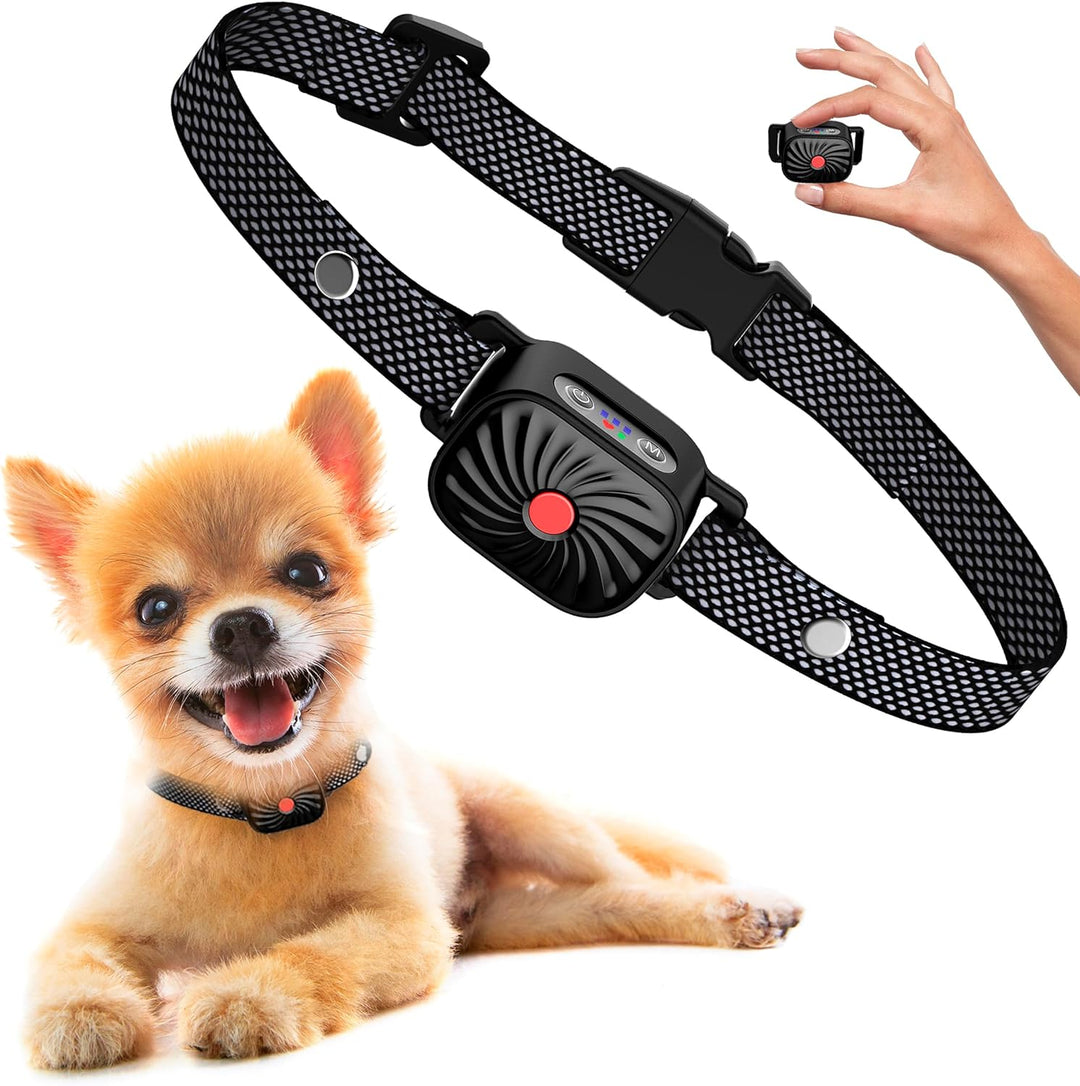 Collar antiladridos suave para perros pequeños. Control de ladridos y adiestramiento de mascotas con bienestar animal.