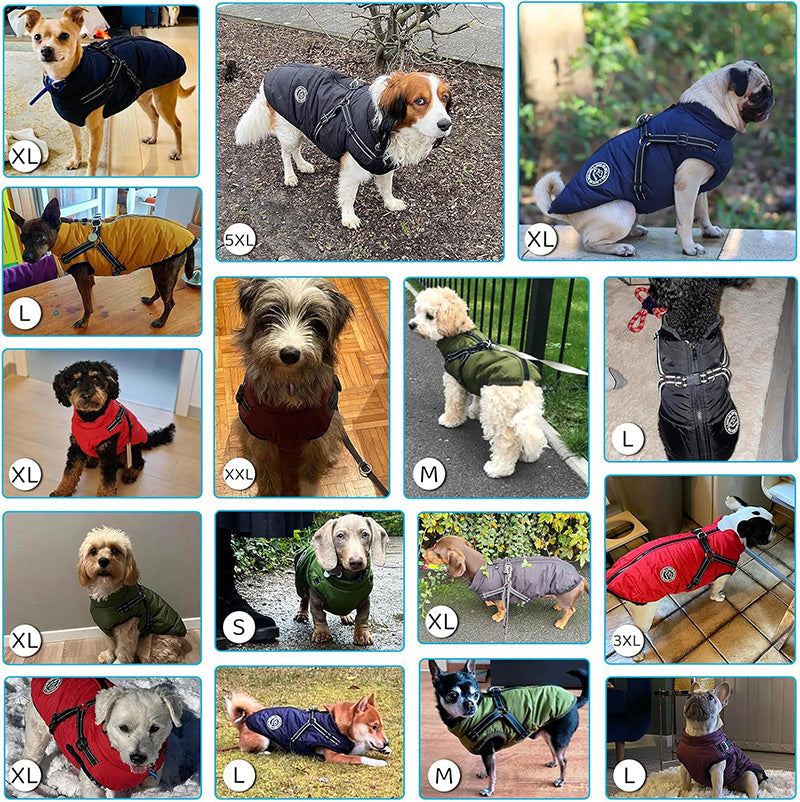 Mantén a tu mascota seca y segura con esta chaqueta de invierno impermeable con arnés y protección contra el viento.