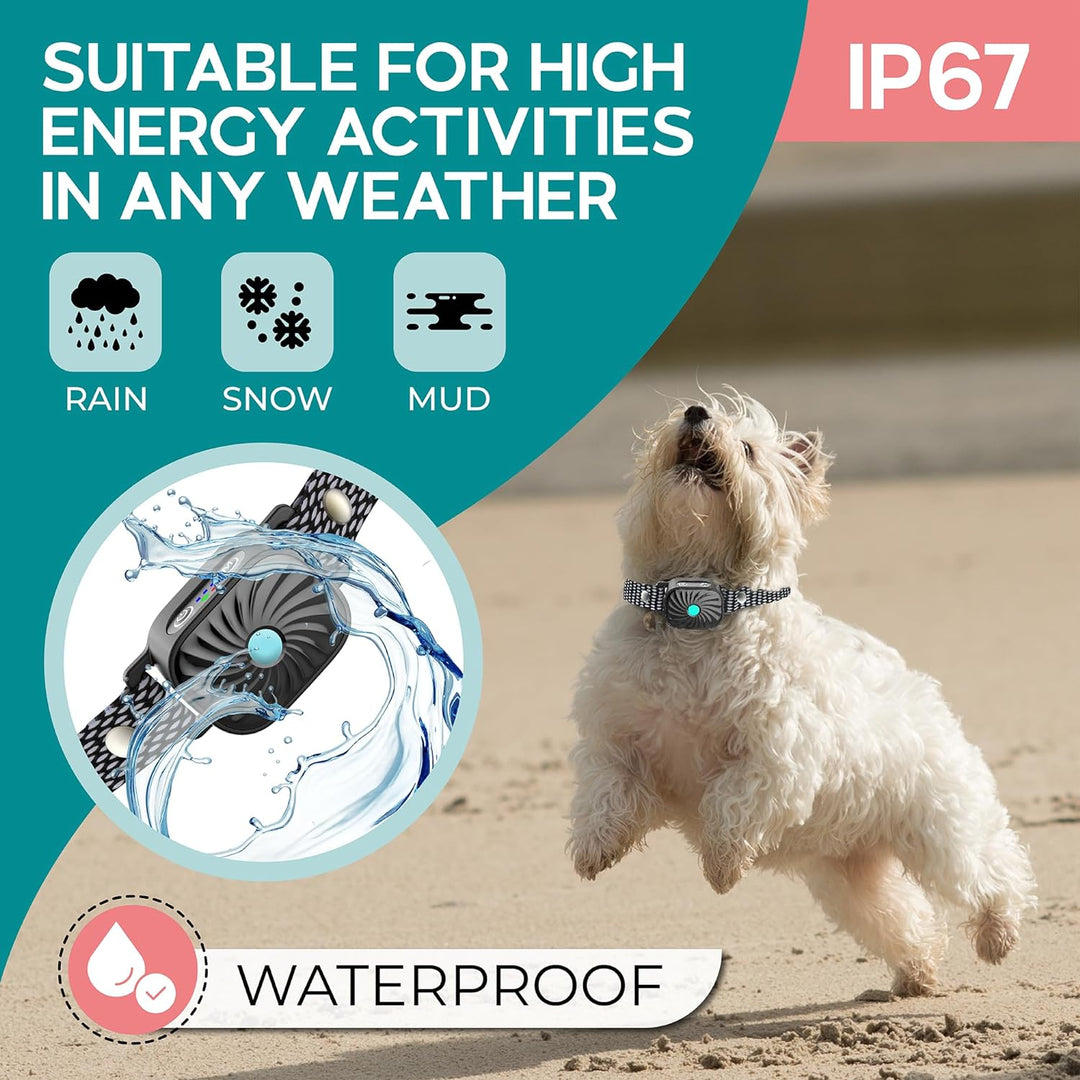 Imagen de collar antiladridos para perros pequeños. Solución efectiva para el control de ladridos en mascotas.