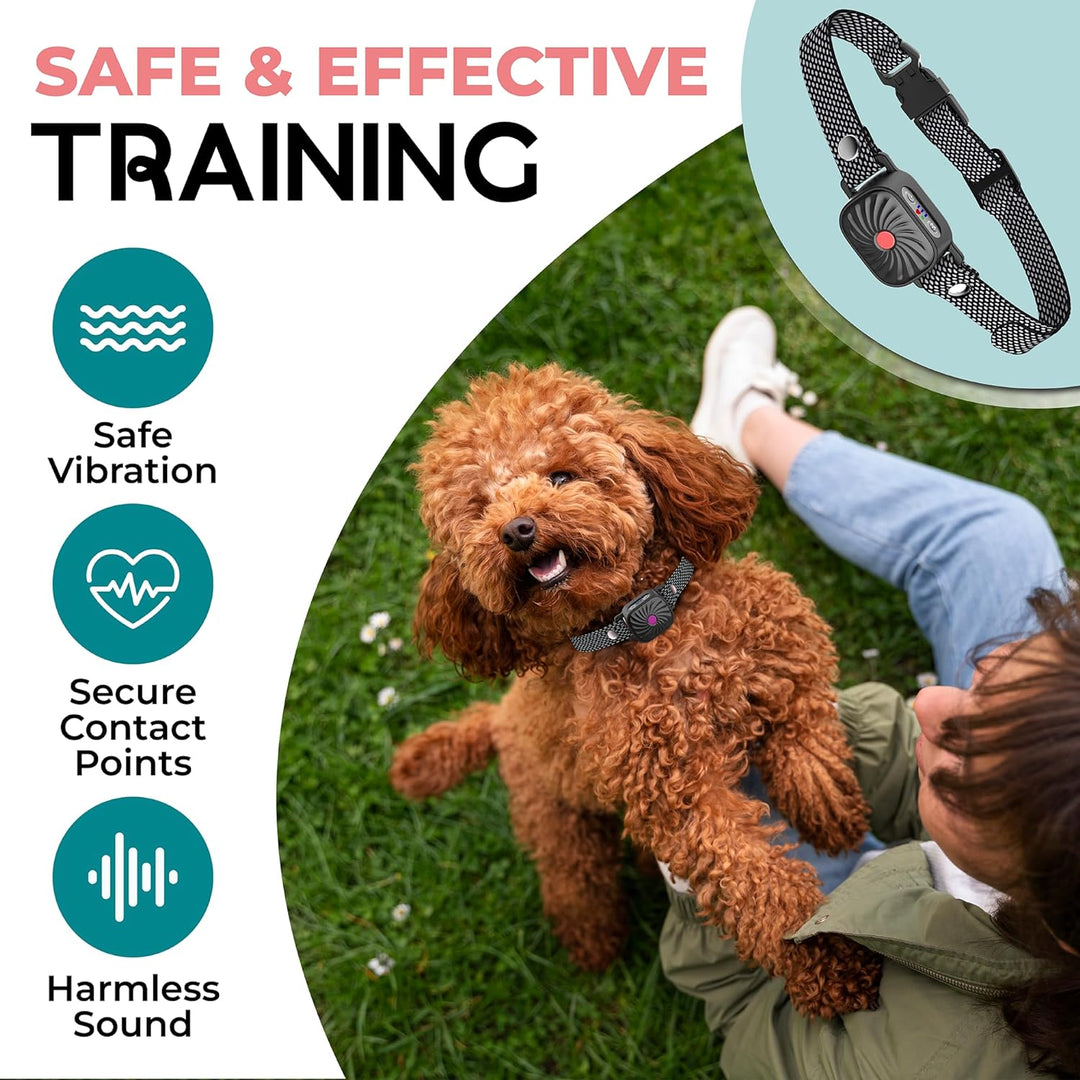 Detalle de collar antiladridos ajustable para perros pequeños. Favorece el adiestramiento y bienestar de la mascota.