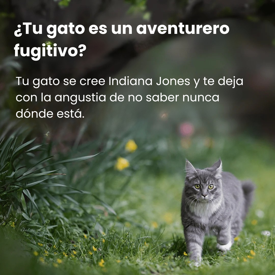 Rastreador GPS ultraligero para gatos, localizador de mascotas con seguimiento en tiempo real.