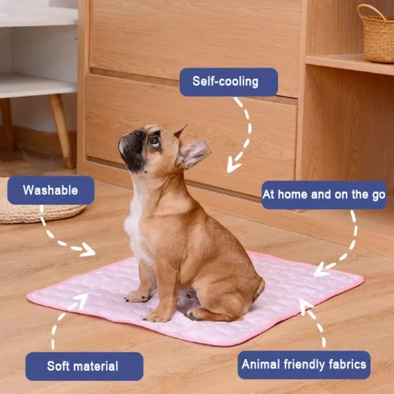 Perro pequeño disfrutando de su colchoneta térmica, ideal para días calurosos.