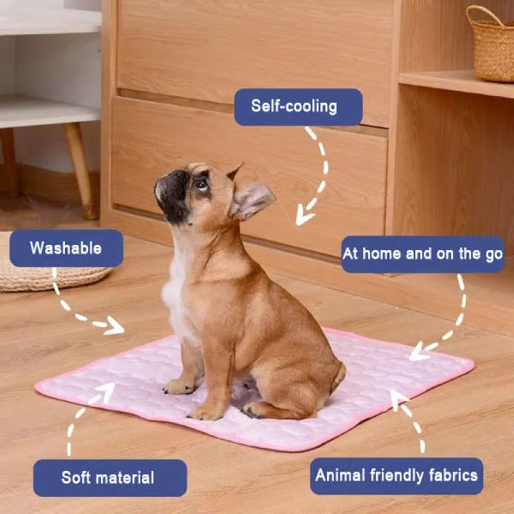 Perro pequeño disfrutando de su colchoneta térmica, ideal para días calurosos.