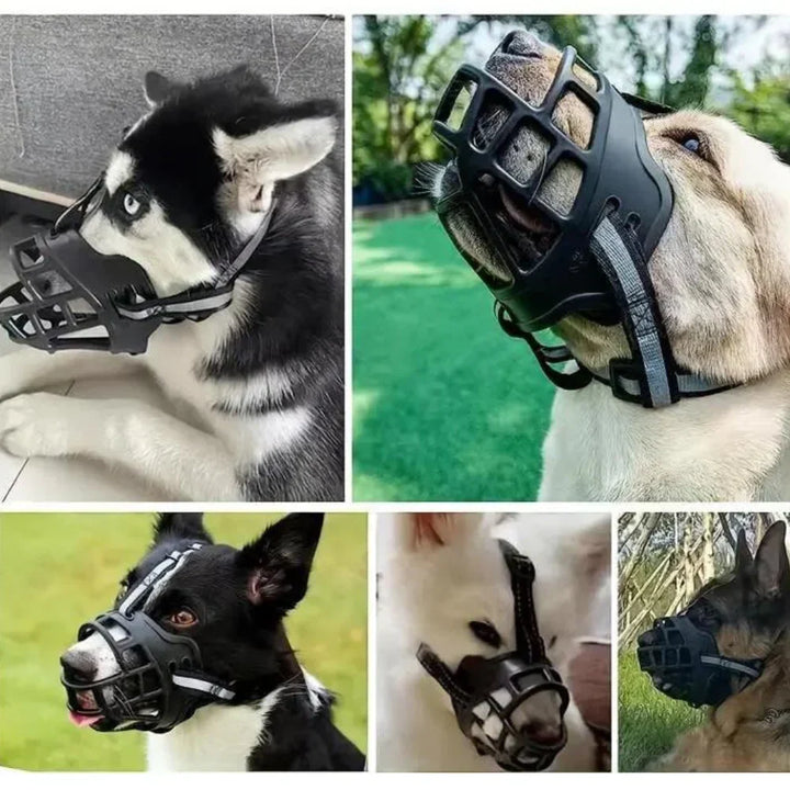 Perro feliz con bozal cómodo y ajustable, para seguridad en paseos y entrenamiento positivo.