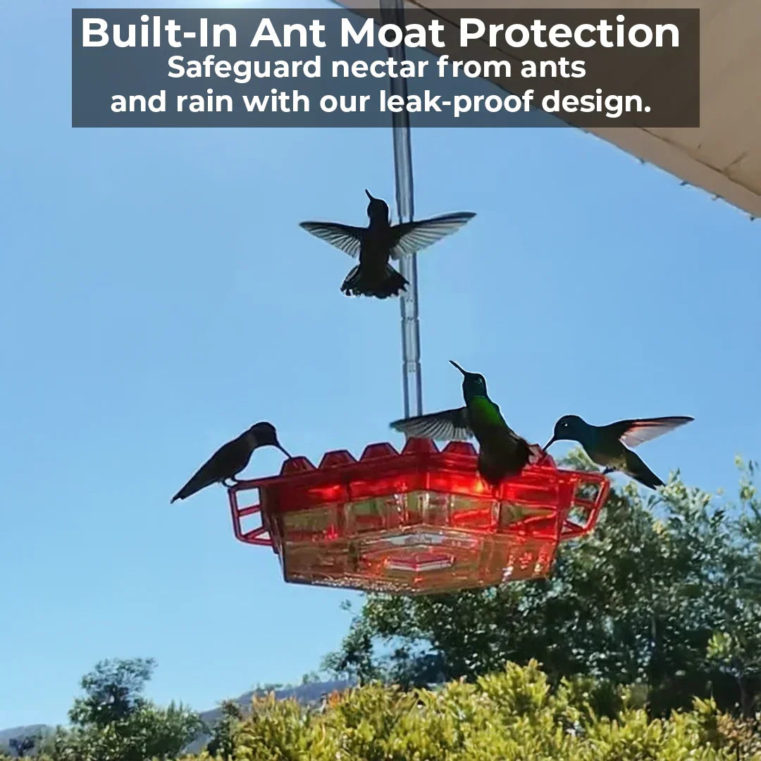 Alimentador colgante para colibríes, ideal para exterior de jardín, fácil de instalar y rellenar.