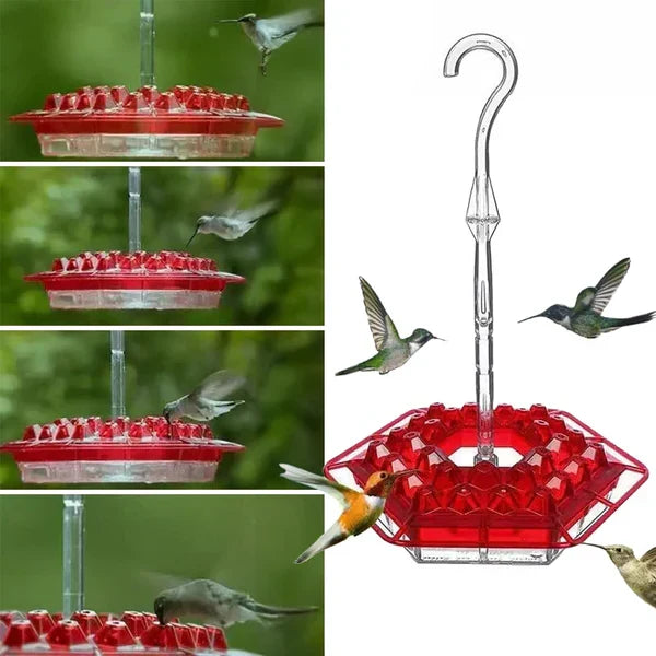 Alimentador de colibrí exterior con posadero, protección anti-insectos y diseño colgante para jardín.