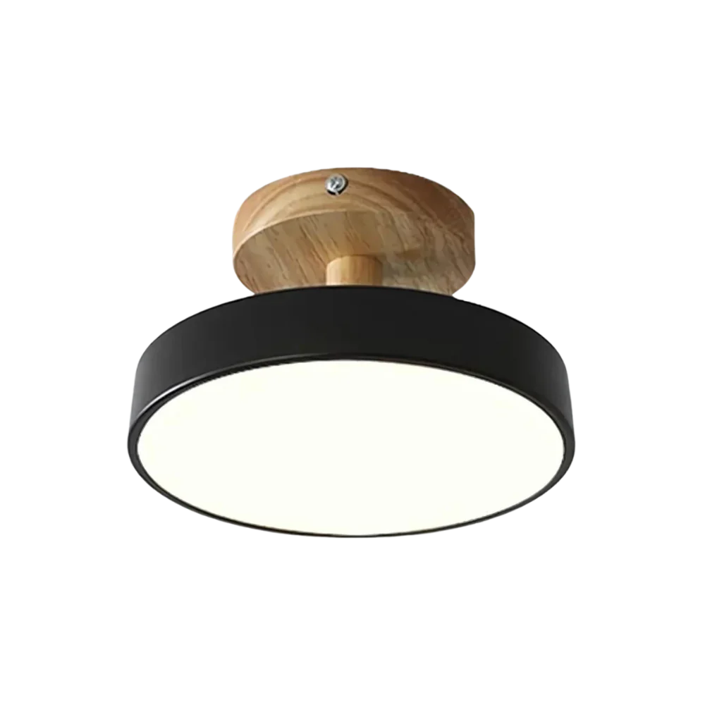 Lámpara de techo LED Aria moderna, ideal para dormitorio, salón o pasillo, luz cálida.