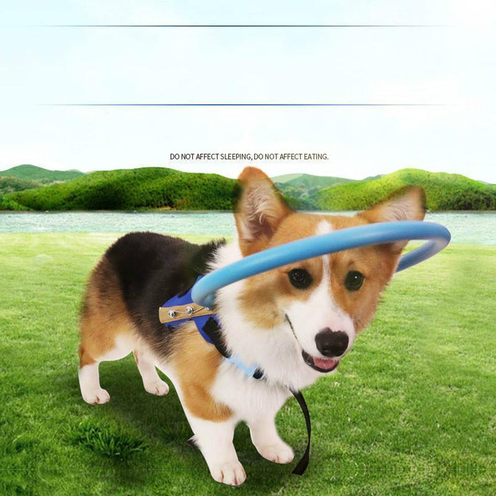 Arnés de seguridad con halo para perro ciego, previene colisiones y facilita la movilidad.