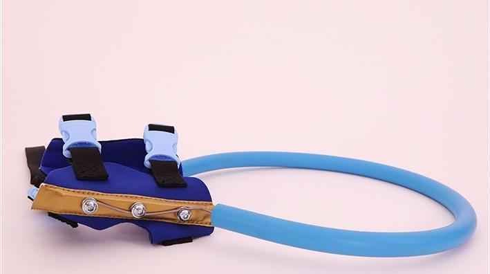 Accesorios para perros: arnés protector que permite al perro ciego pasear con independencia.