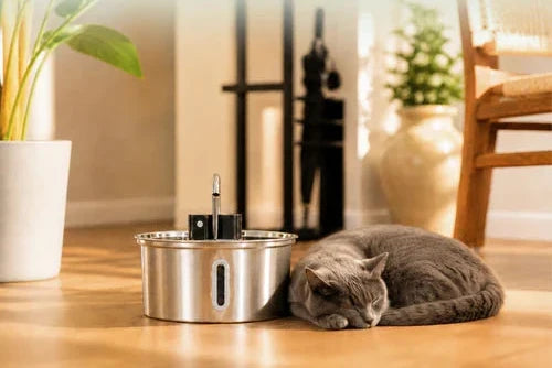 Hidratación constante: fuente para mascotas de acero inoxidable, sensor, bomba ultrasilenciosa.