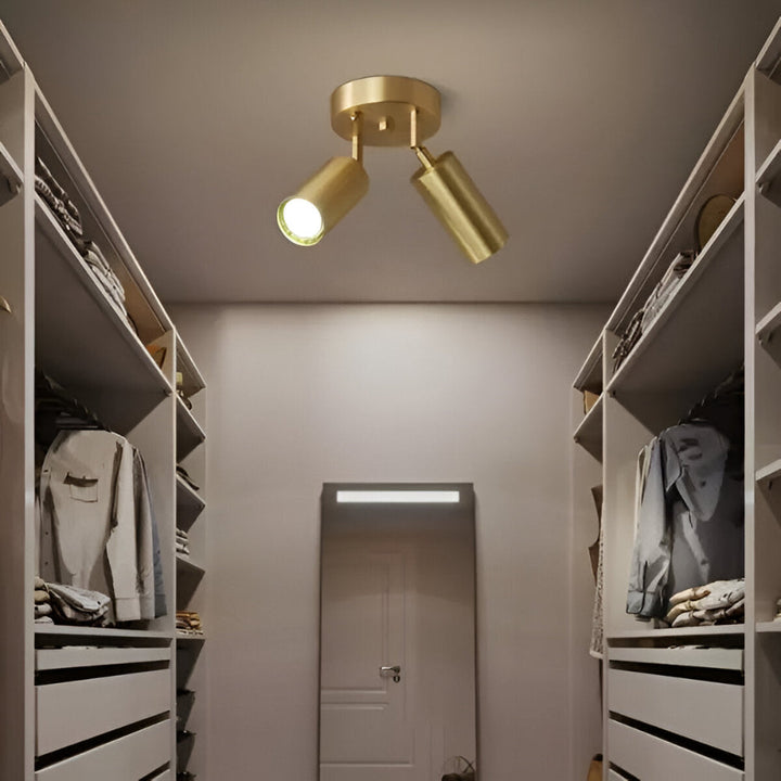 Lámpara de techo LED moderna de latón, iluminación interior para sala o dormitorio, luz cálida.