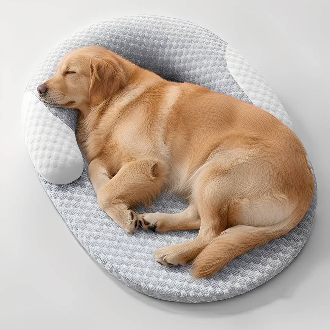 Cama refrigerante para perros grandes, con colchón de espuma viscoelástica ortopédica y superficie fresca y lavable.