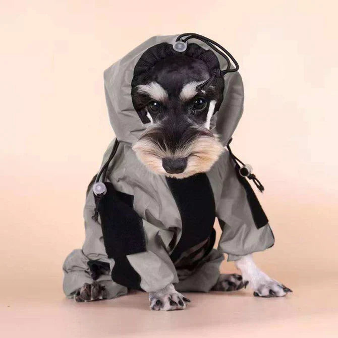 Chubasquero perro reflectante, impermeable con diseño de patas, esencial para días lluviosos.