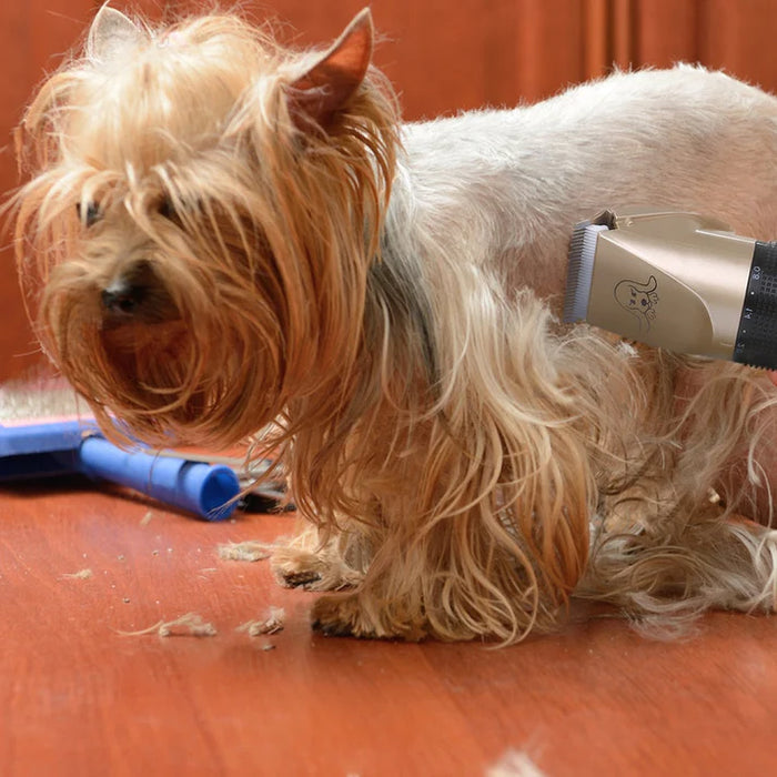 Recortadora ergonómica y silenciosa para aseo de mascotas. Diseño cómodo para perros y gatos, cuchilla cerámica.