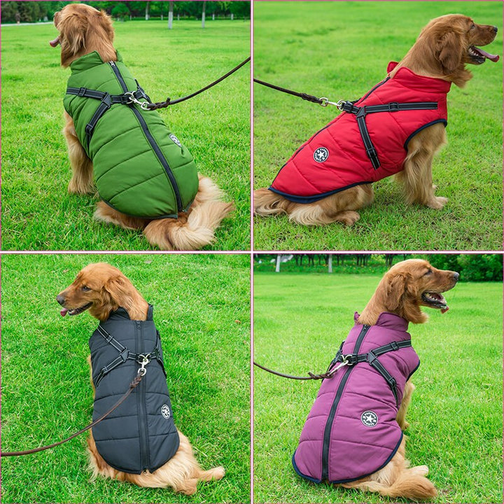 Abrigo perro de invierno con aislamiento y arnés integrado. Ropa impermeable para paseos seguros, cómodo y cálido para mascota.