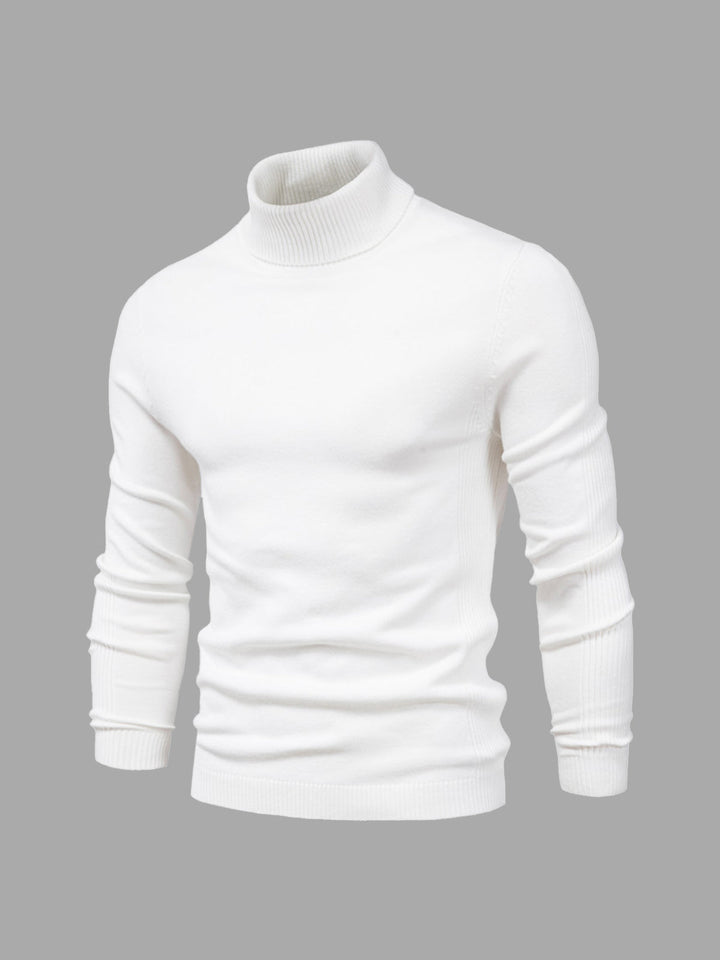 Jersey DAVARO de hombre cuello alto slim fit, ideal para invierno y otoño.