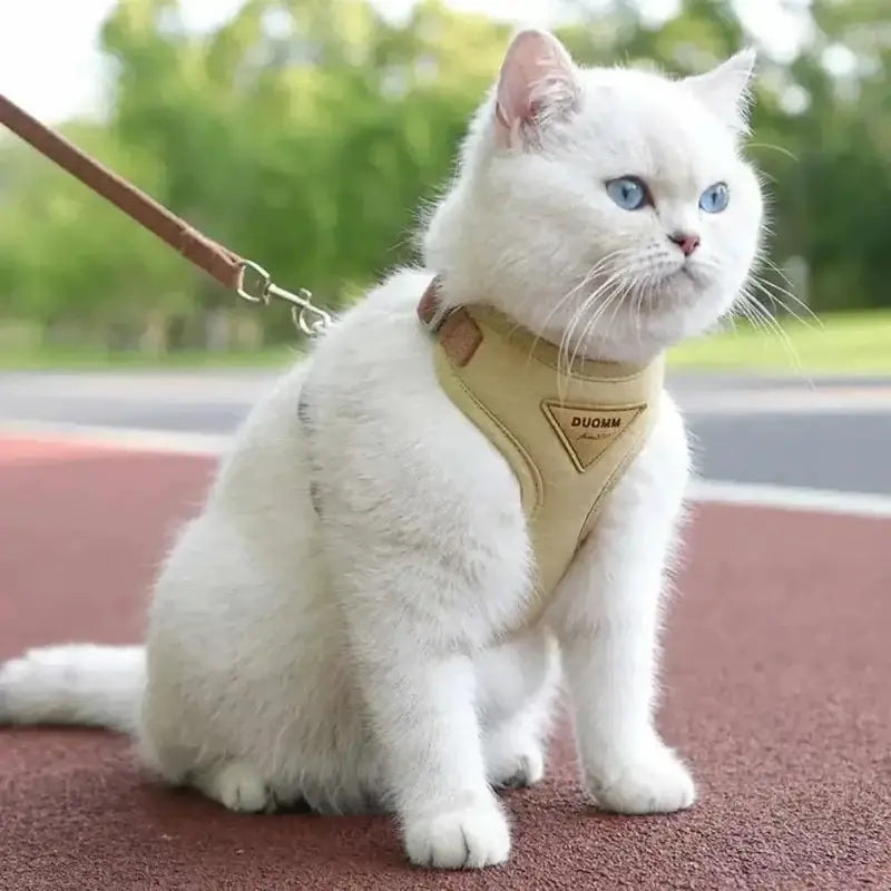 Arnés ajustable antiescape para gatos en primer plano, ideal para paseos seguros y cómodos.