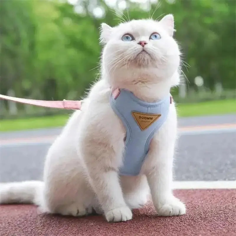 Variedad de tallas (XS, S, M, L) de arneses ajustables antiescape para gatos de todos los tamaños.