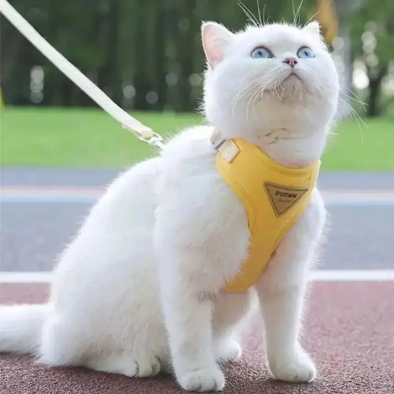 Arnés de paseo para gatos con sistema antiescape, proporcionando máxima seguridad y control.