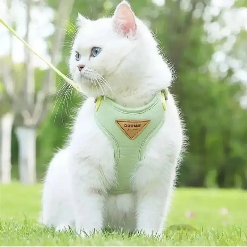 Accesorios para mascotas: arnés antiescape de alta resistencia para gatos, perfecto para la exploración.