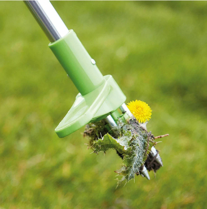 Desmalezador de jardín ecológico, herramienta para extraer malas hierbas y sus raíces sin químicos.
