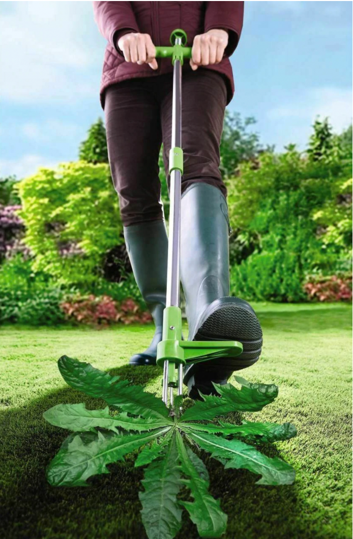 Herramienta extractor de malas hierbas para jardín, diseño ergonómico para eliminar eficazmente las raíces.