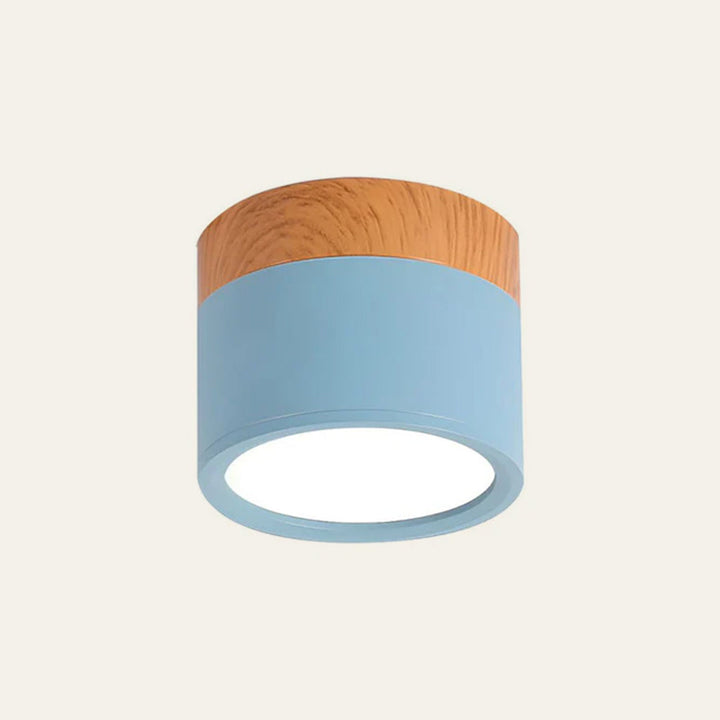 Foco de techo cilíndrico, luz LED para iluminación de acento y moderna.