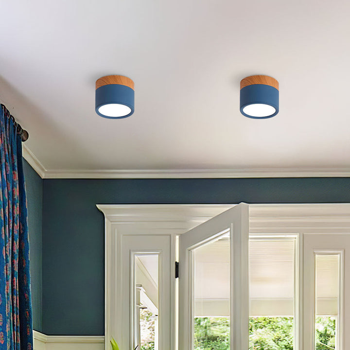 Luz de techo LED cilíndrica, montaje en superficie, duradera y eficiente.