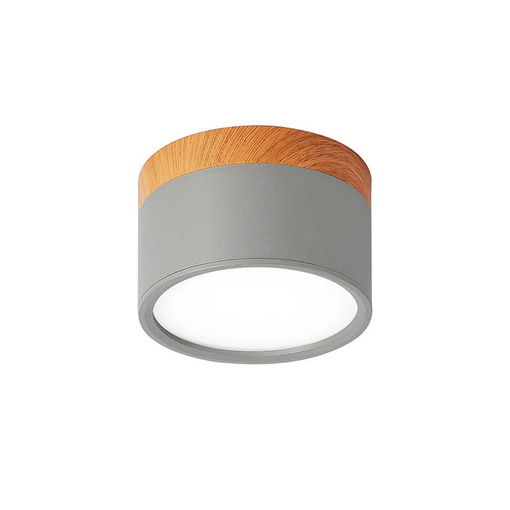 Luz de techo cilíndrica LED, montaje en superficie, ideal para techos bajos.
