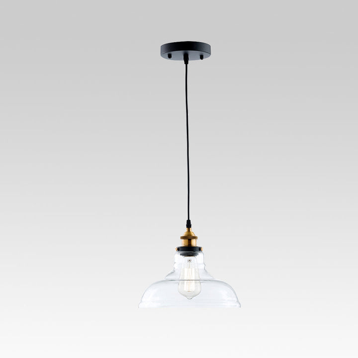 Lámpara colgante de cúpula de vidrio clara, estilo industrial, ideal para iluminación de techo.