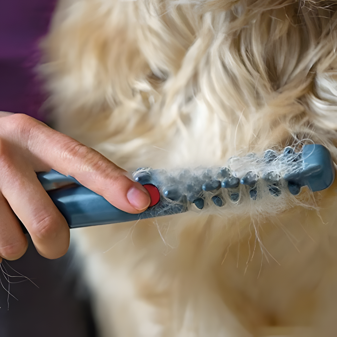 Perro de tamaño mediano siendo recortado suavemente con el Cuddle Soft, ideal para desenredar y cuidar el pelo.