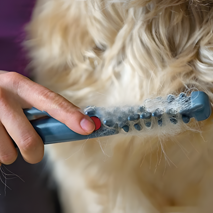 Perro de tamaño mediano siendo recortado suavemente con el Cuddle Soft, ideal para desenredar y cuidar el pelo.