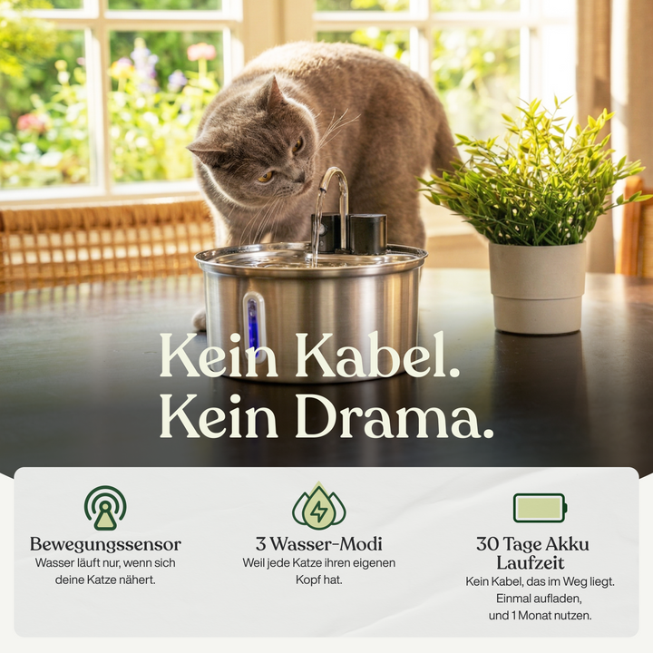 Fuente de agua silenciosa para gatos, con sensor de movimiento, ideal para hogares modernos.