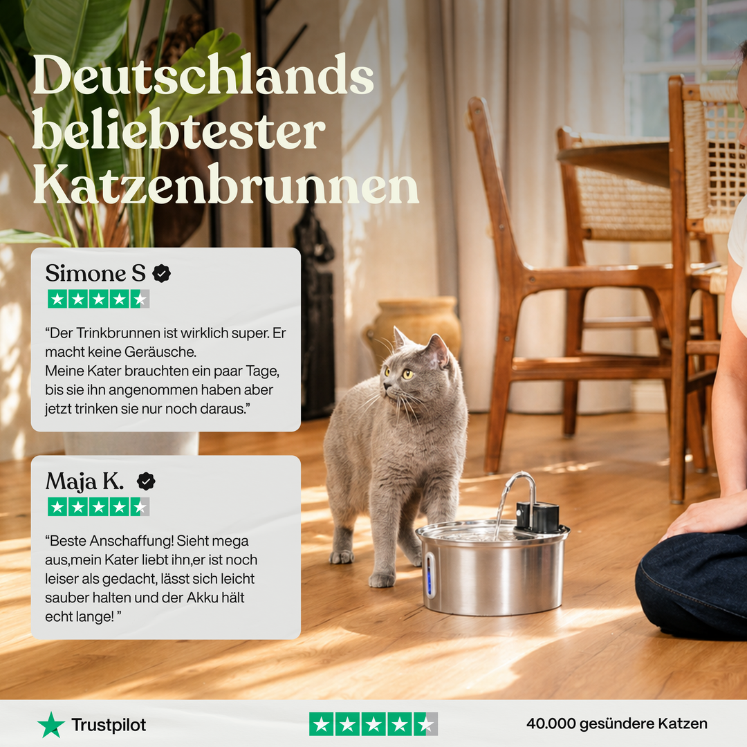 Bebedero automático inalámbrico para gatos, gran capacidad 3.2L, mantiene el agua fresca.