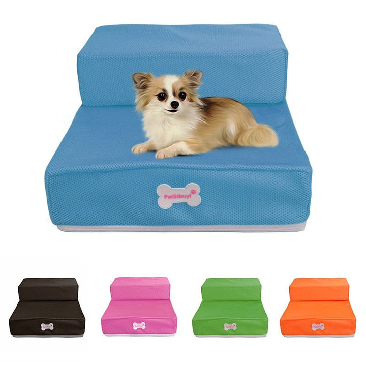 Rampa para perros pequeños y gatos, estructura robusta y antideslizante para su seguridad.
