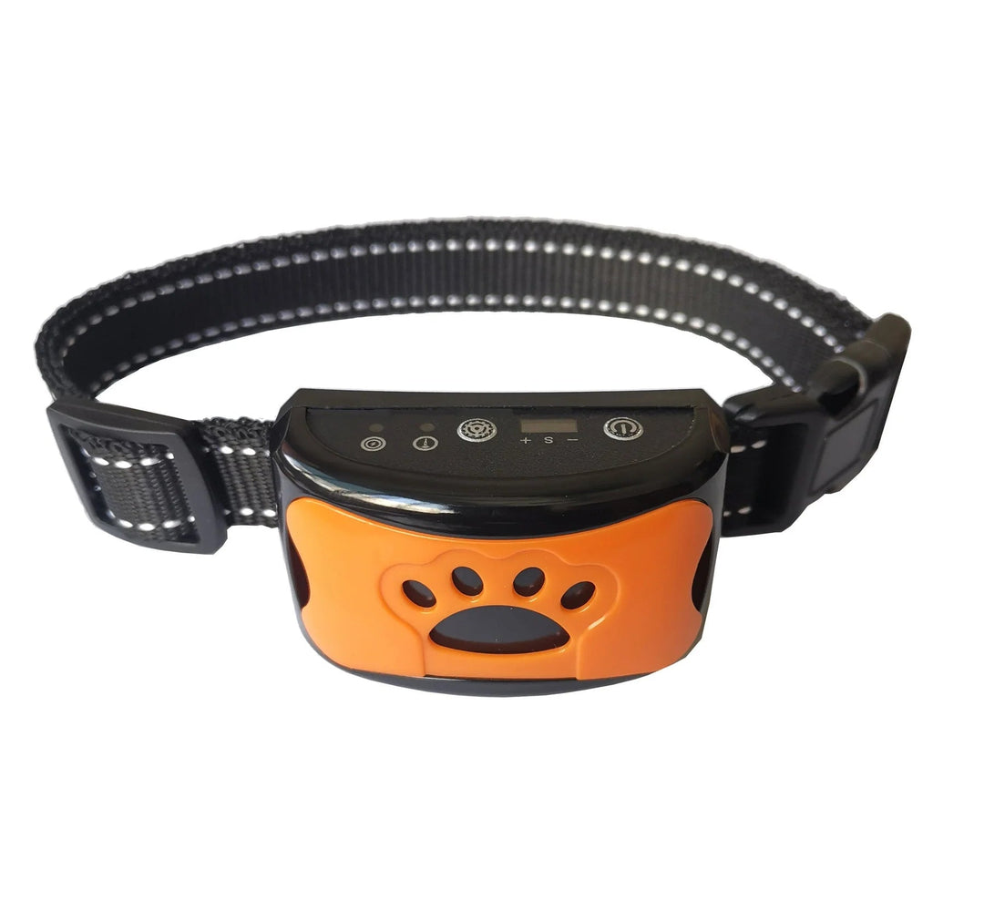 Perro adiestrado con collar antibark recargable. Entrenamiento humano para mejorar el comportamiento de la mascota con sonido/vibración.