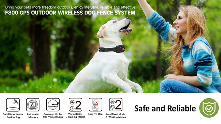 Kit completo de valla GPS inalámbrica para perros, incluye collar de entrenamiento resistente al agua IPX7.