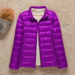 Morado Cuello Alto