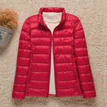 Rojo Cuello Alto