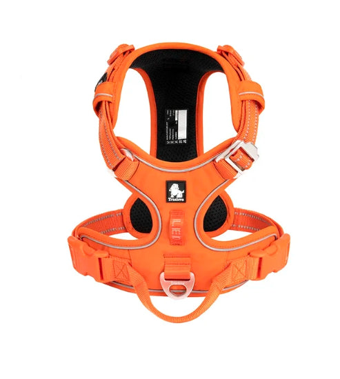 Arnés antijalones para perro, reflectante y ajustable, ideal para paseos nocturnos con seguridad y confort.