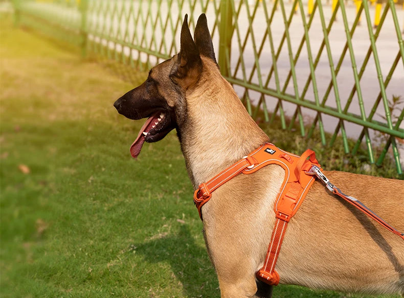 Confortable arnés para perro, reflectante para mayor visibilidad, con sistema antijalón para paseos agradables.