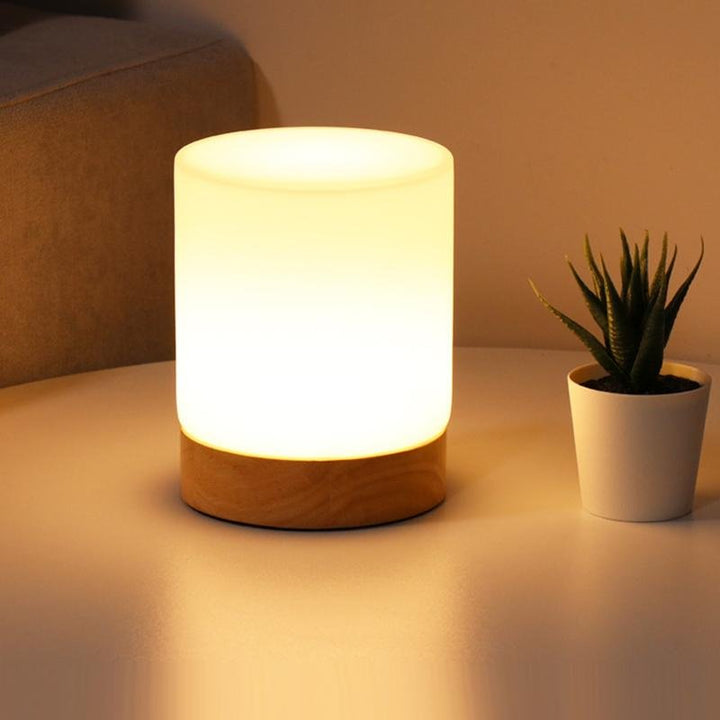 Moderna lámpara de mesa LED Torin, diseño cilíndrico. Control táctil, recargable USB, ideal para decoración del hogar.