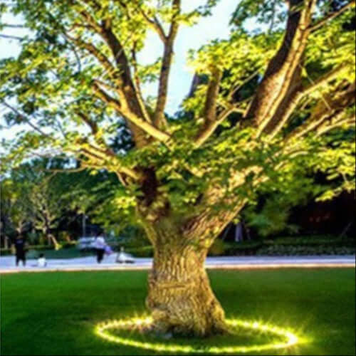 Foco luz cálida LED para árboles, ideal iluminación exterior de jardín y decoración paisajística.