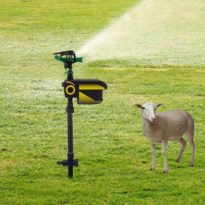 Aspersor repelente de plagas solar con sensor PIR, ideal para proteger tu jardín y patio de forma automática.