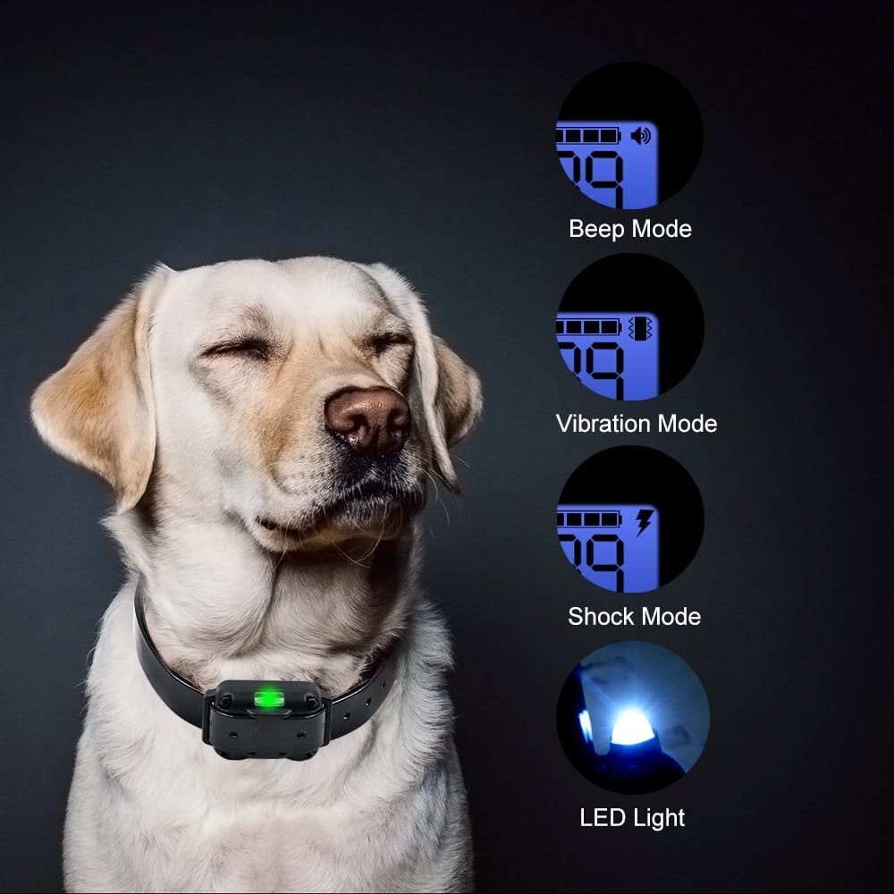 Adiestramiento canino: Collar eléctrico impermeable para perros. Corrige conductas y mejora la obediencia a distancia.