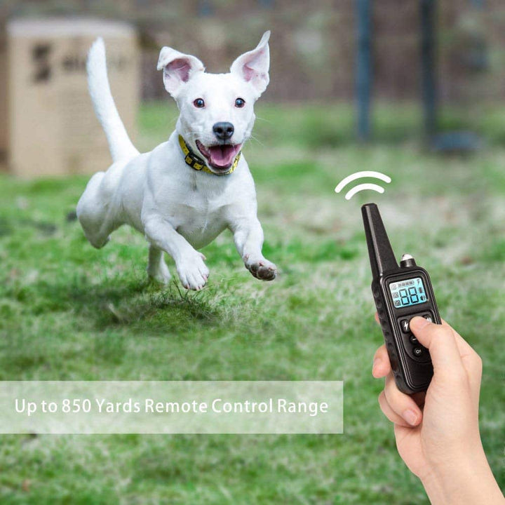 Kit completo de collar eléctrico para adiestramiento de perros. Control remoto, vibración y sonido para mejorar conducta.